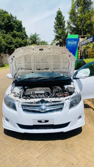 Toyota Corolla Fielder 2011 White