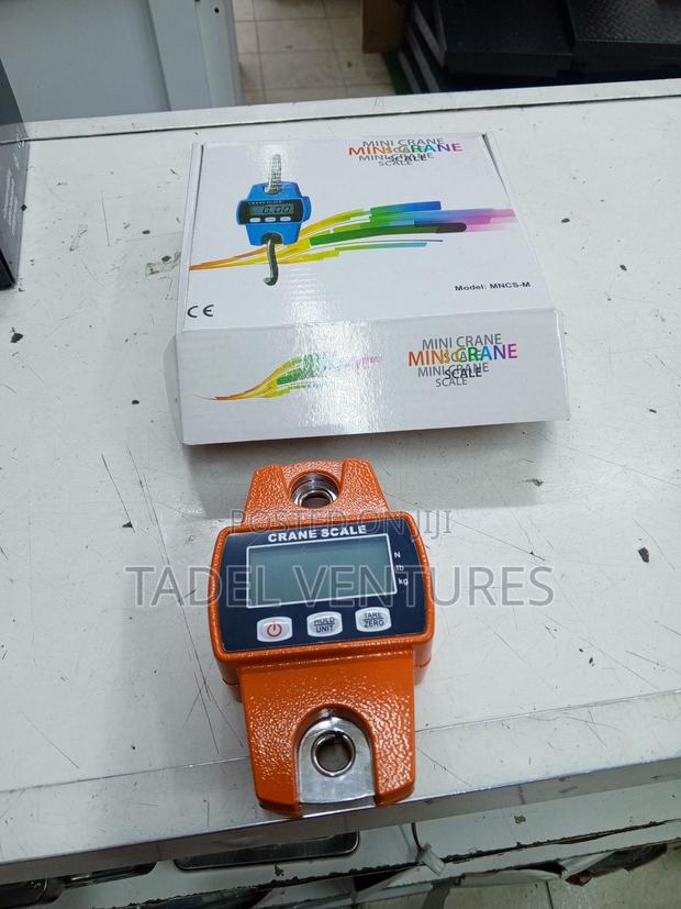 Crane Scale 300kgs - main view