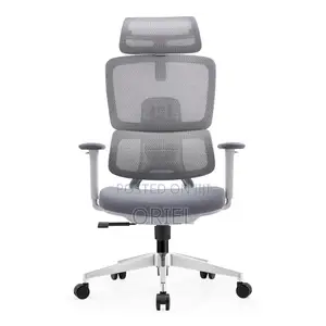 Orthopedic Office Chair : Alfordson Mesh Ergonomic Office Chair