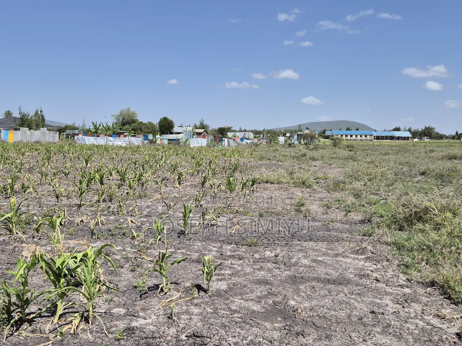 Makutano Kyumbi Plots