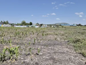 Makutano Kyumbi Plots