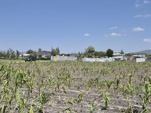 Makutano Kyumbi Plots