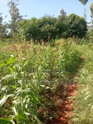 Maragua Summary Prime 14ac Ideal for Town Houses, Avocado Farming Etc