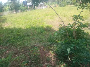 0.25 Acres of Land on Sale in Chamkombe, Migori County