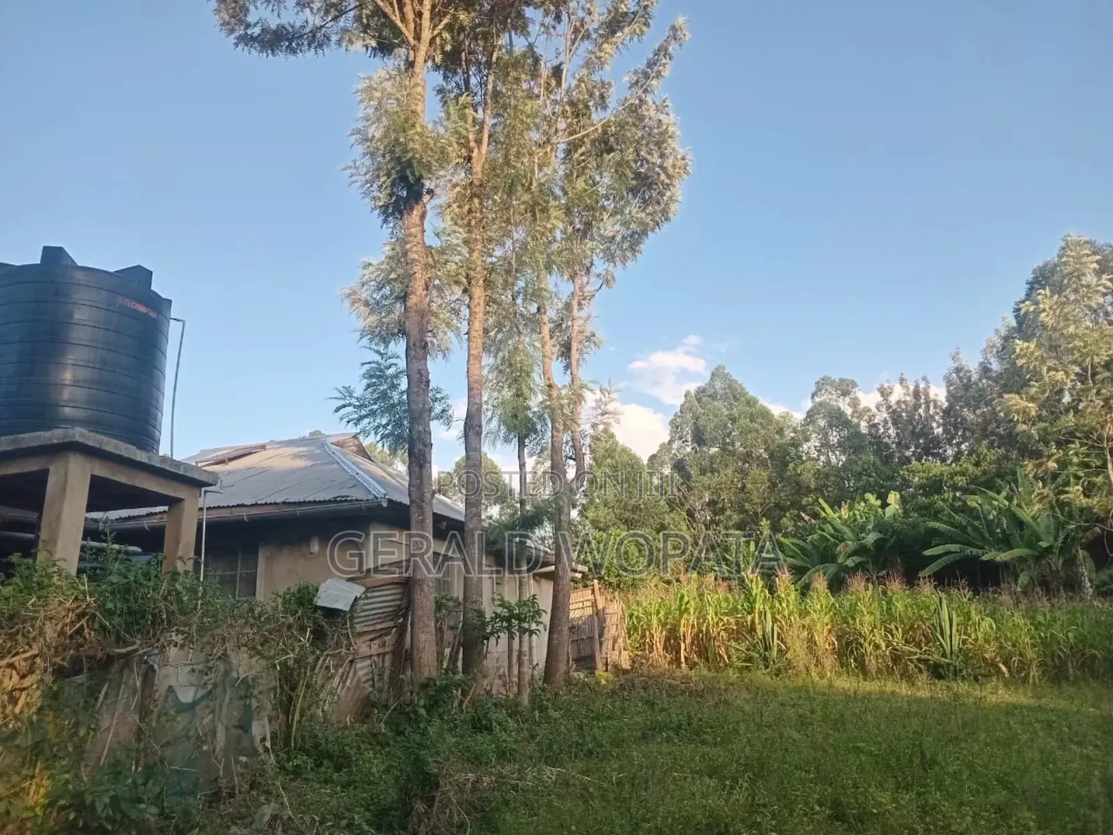 0.25 Acres of Land on Sale in Chamkombe, Migori County