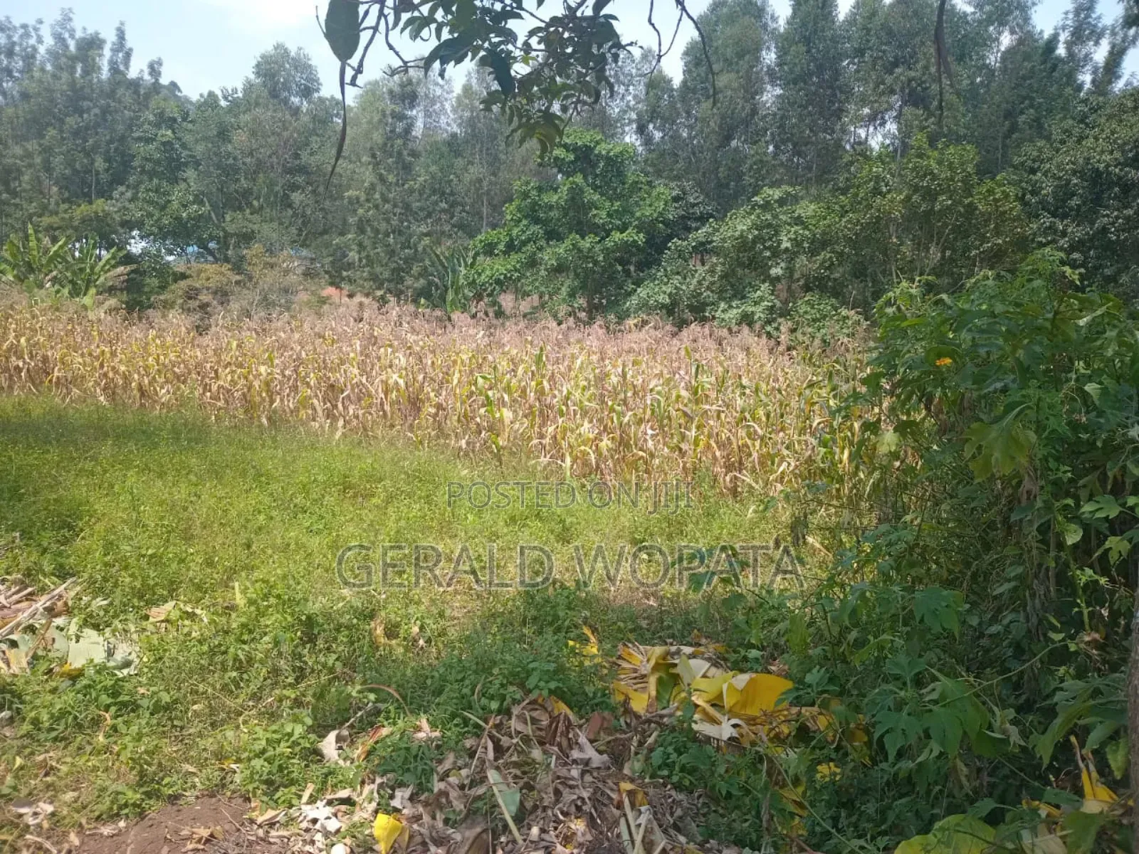 0.25 Acres of Land on Sale in Chamkombe, Migori County