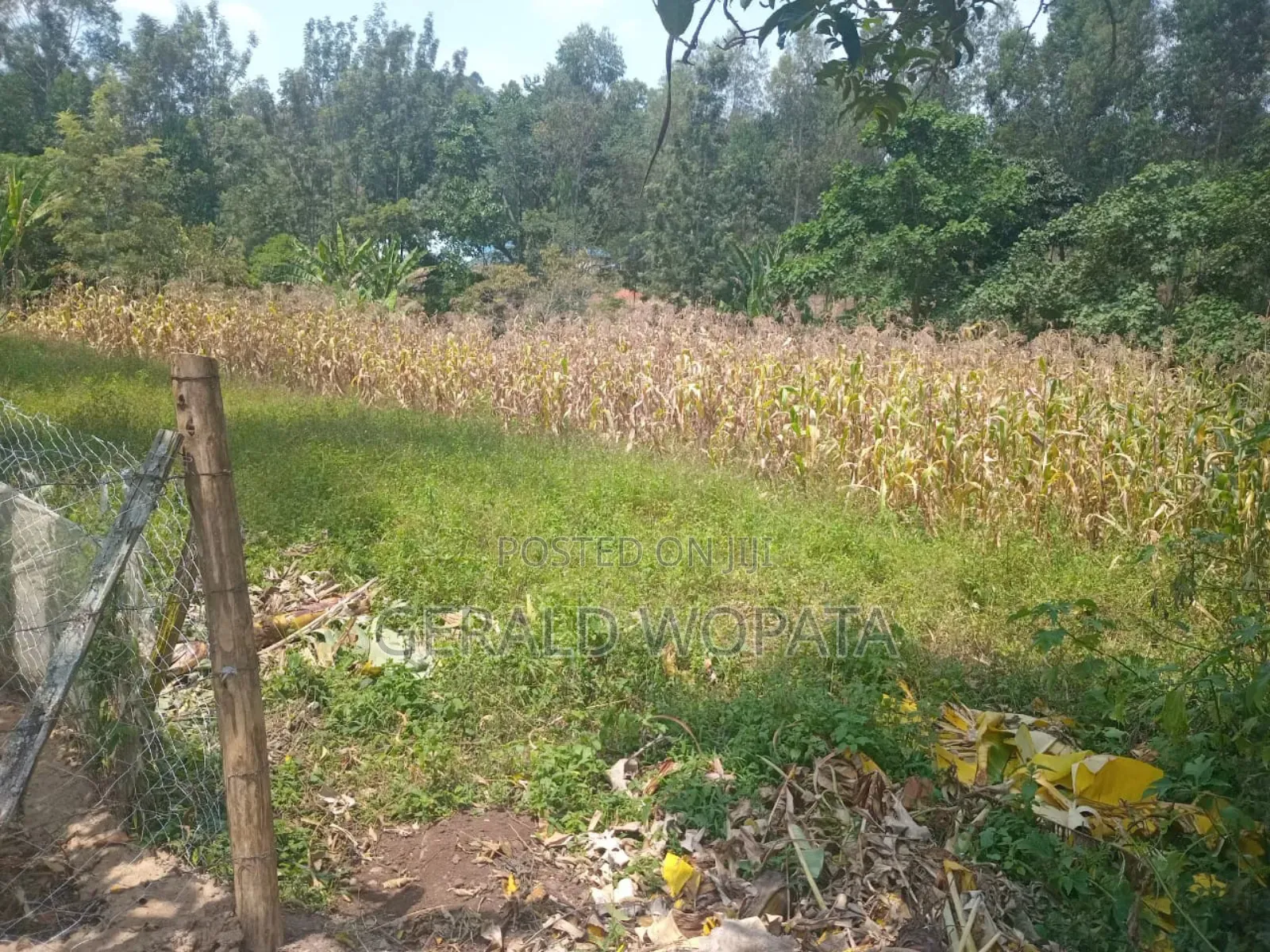 0.25 Acres of Land on Sale in Chamkombe, Migori County