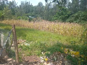0.25 Acres of Land on Sale in Chamkombe, Migori County
