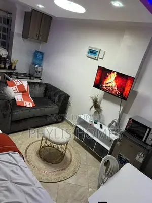Cozy Furnished Studio in Attic South B