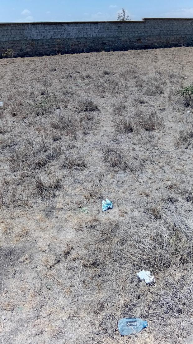 50×100 Ft Plot For Sale – Malaa, Kantafu - thumbnail 4
