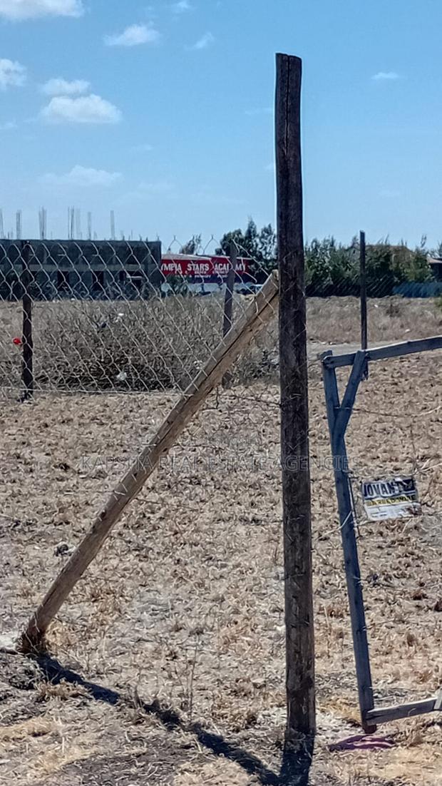 50×100 Ft Plot For Sale – Malaa, Kantafu - thumbnail 5