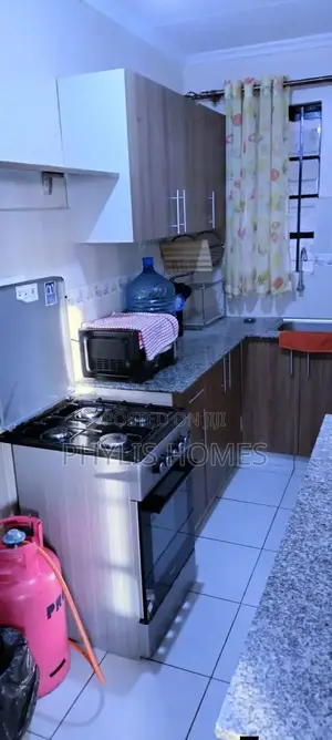 Luxurious Fully Furnished One Bedroom Air BNB in South B