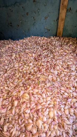 Garlic Cloves/Seeds - main view