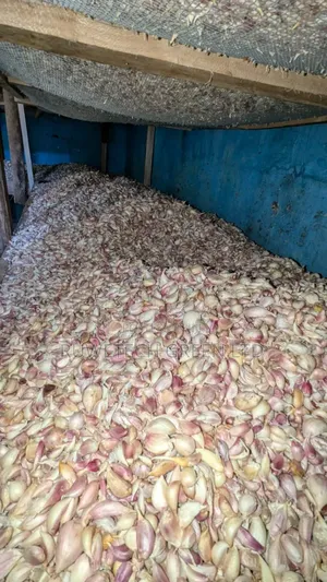 Garlic Cloves/Seeds