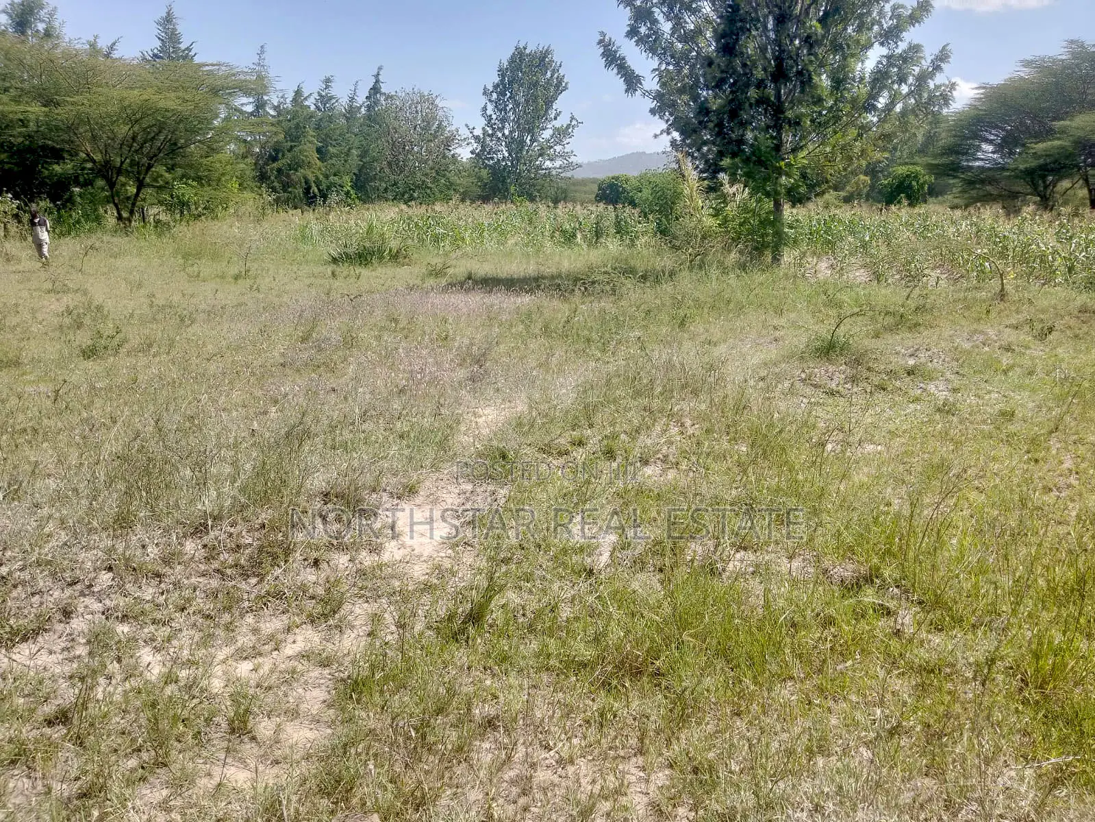Plot For Sale, Machakos