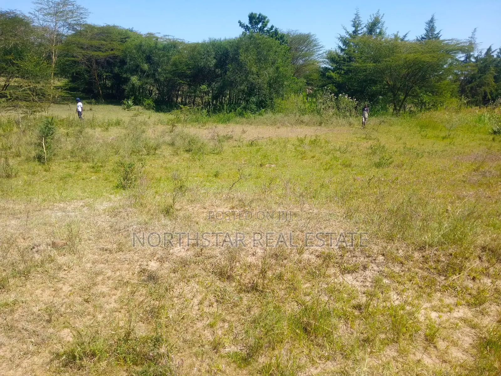 Plot For Sale, Machakos