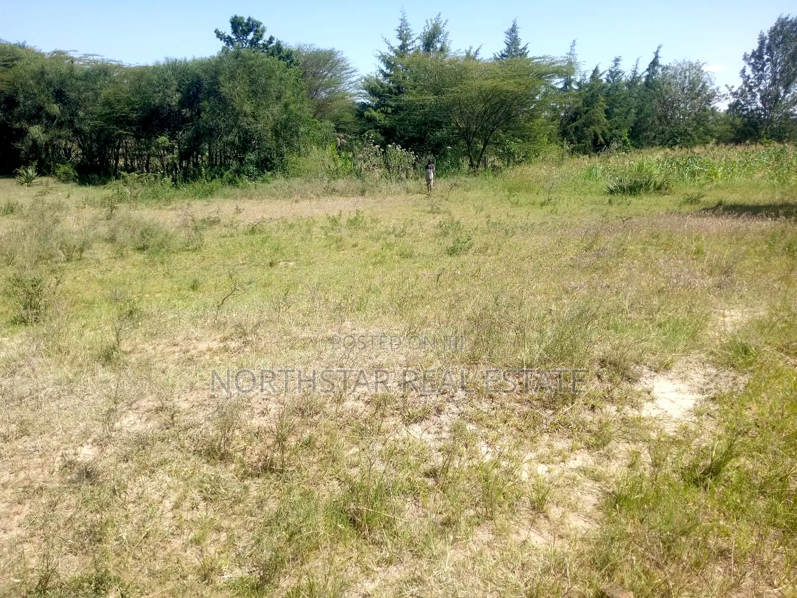 Plot For Sale, Machakos