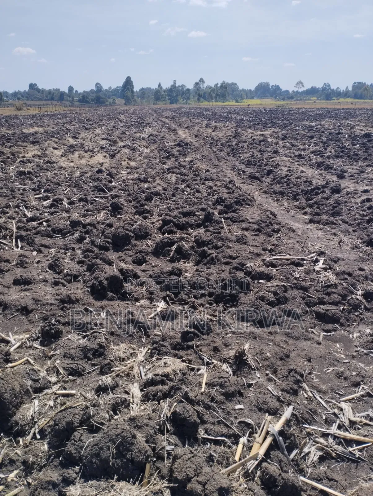 8.5 Acre Land Ideal for Sugar Cane Farming.