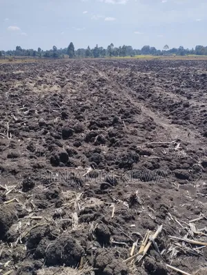 8.5 Acre Land Ideal for Sugar Cane Farming.