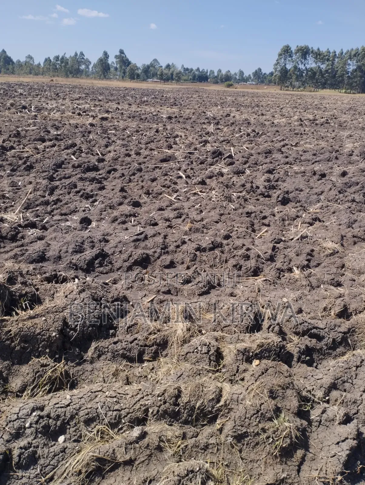 8.5 Acre Land Ideal for Sugar Cane Farming.