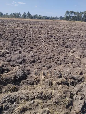 8.5 Acre Land Ideal for Sugar Cane Farming.