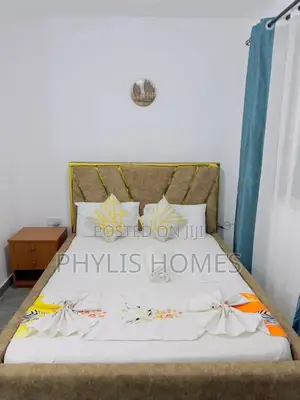Excutive Apartment Air BNB in South B