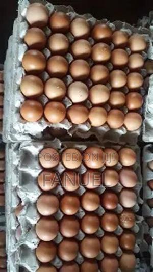 Improved Kienyeji Rainbow Fertilised Egg