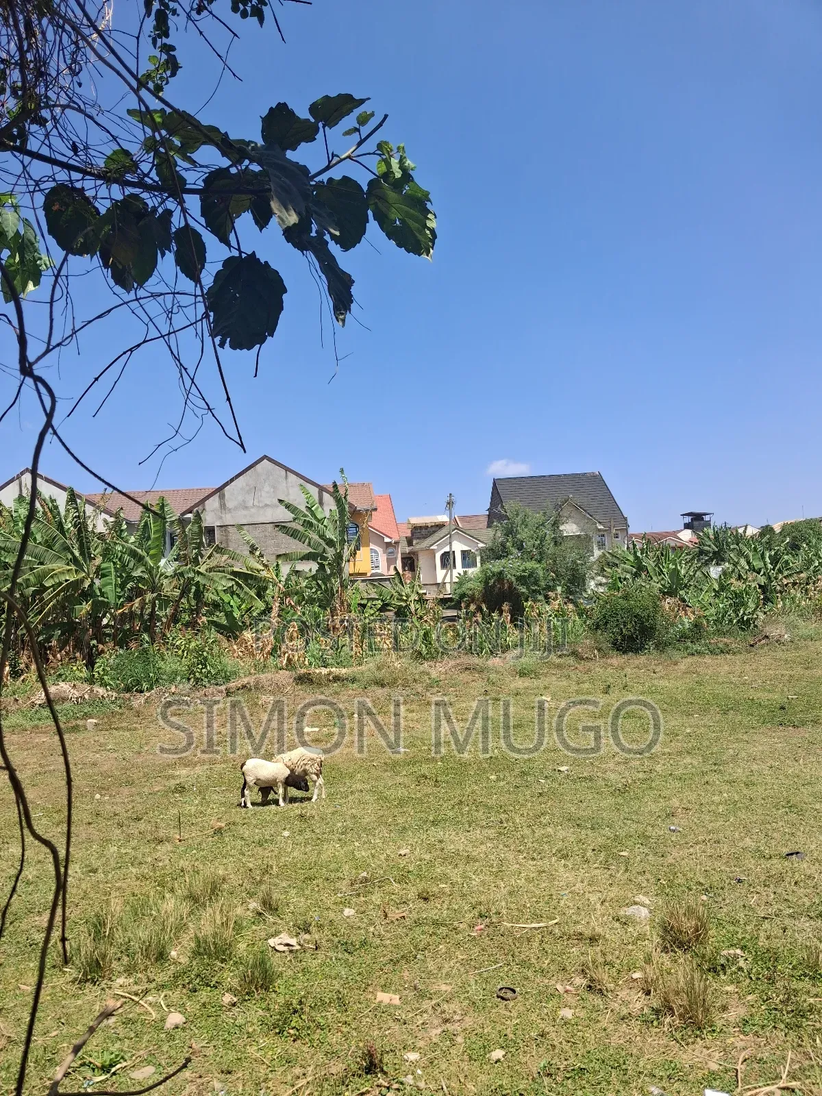 Kasarani Icipe Opposite Police Station Prime 1/2 Acre