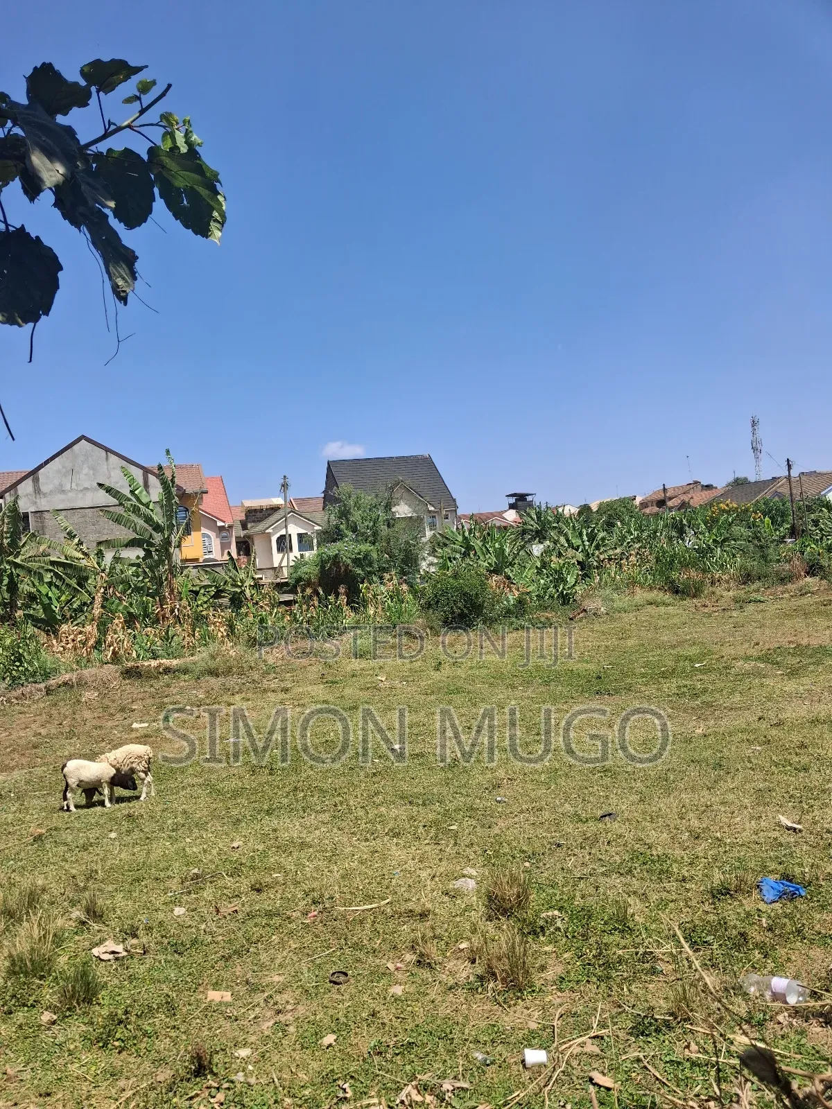 Kasarani Icipe Opposite Police Station Prime 1/2 Acre