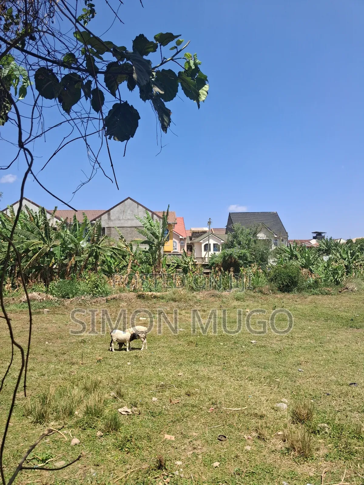 Kasarani Icipe Opposite Police Station Prime 1/2 Acre