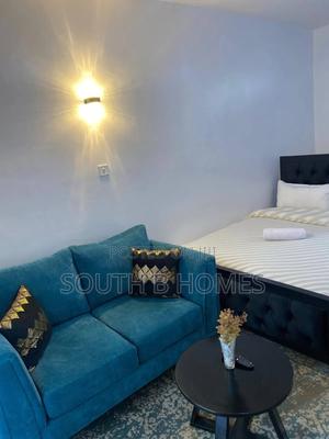 Executive Fully Furnished Studio in South B Attic Place - main view