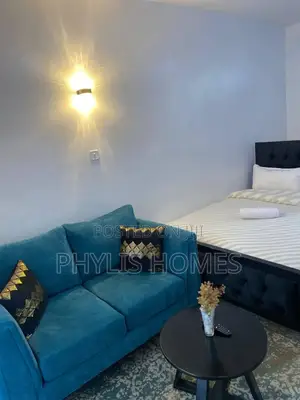 Executive Fully Furnished Studio in South B Attic Place