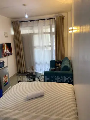 Executive Fully Furnished Studio in South B Attic Place