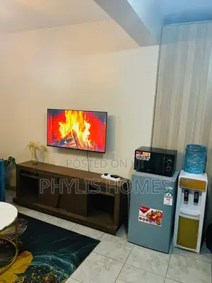 Executive Fully Furnished Studio in South B Attic Place