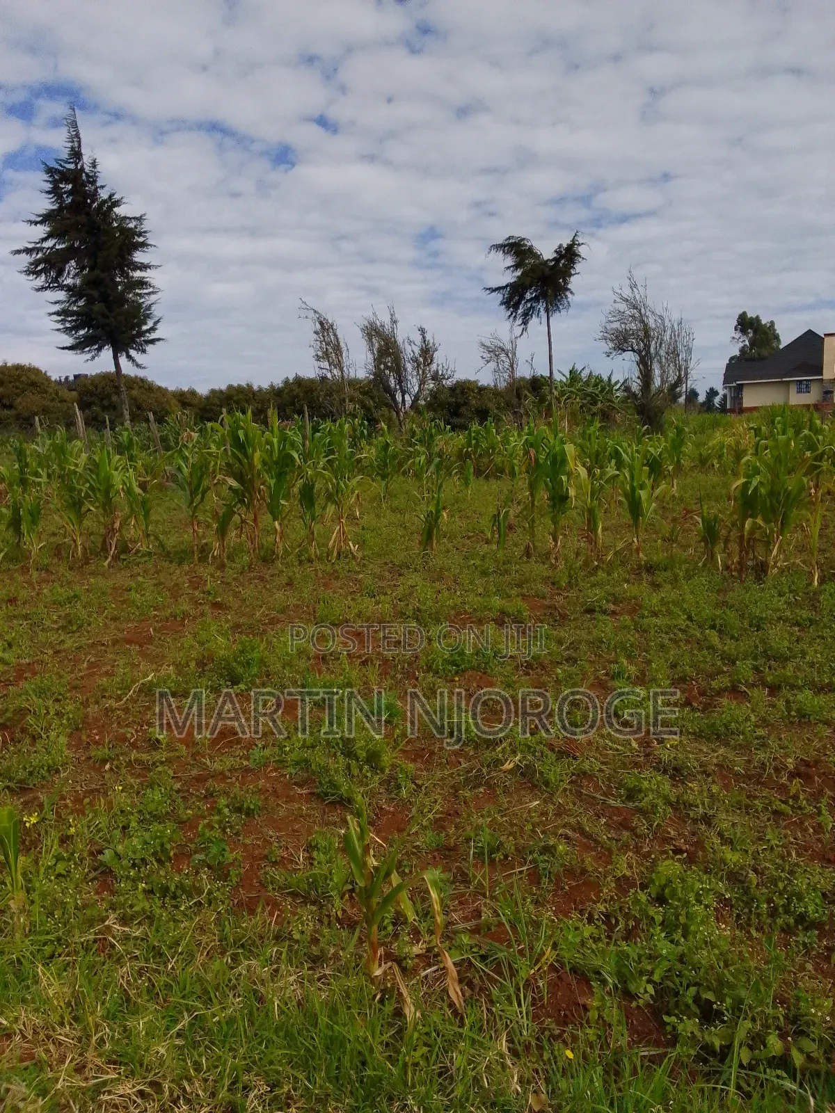 1 Acre Murengeti, Limuru