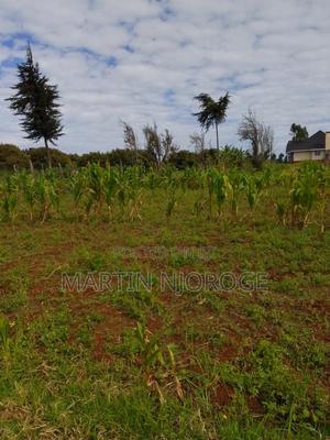 1 Acre Murengeti, Limuru - main view