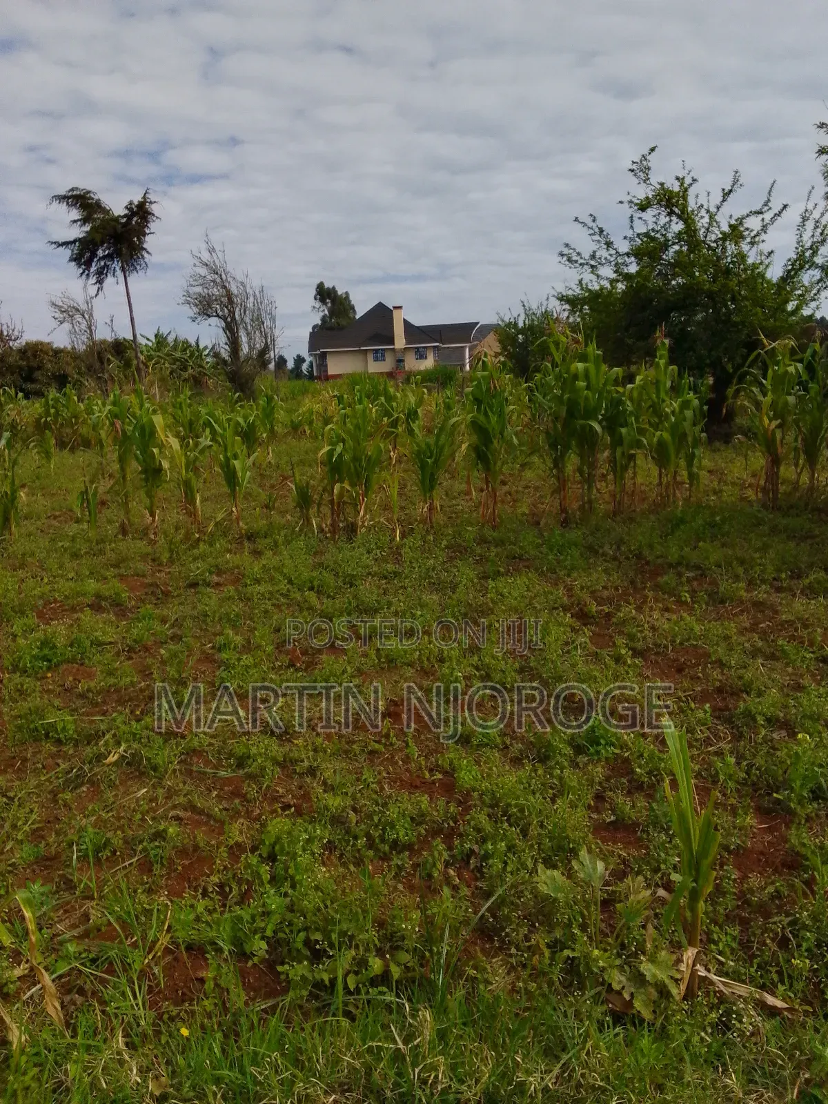 1 Acre Murengeti, Limuru