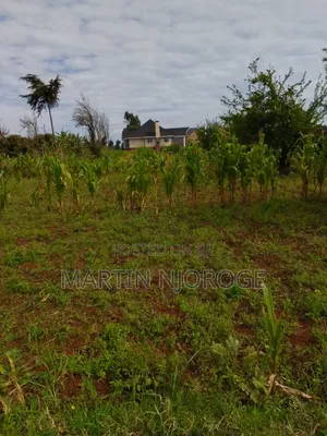 1 Acre Murengeti, Limuru
