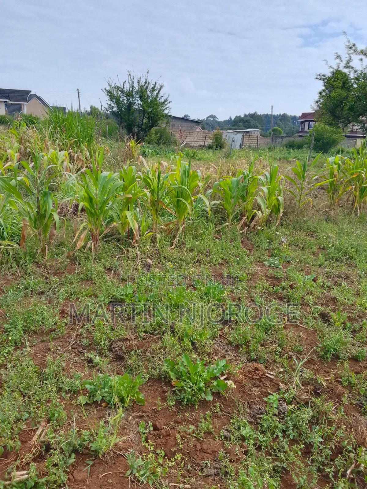 1 Acre Murengeti, Limuru