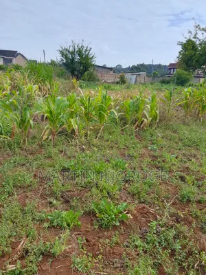 1 Acre Murengeti, Limuru