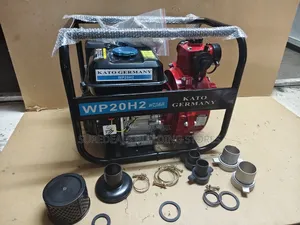 Wp20h2 High-pressure Petrol Water Pump