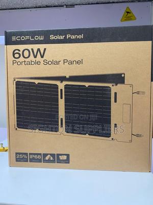 Ecoflow 60w Portable Solar Panel - main view