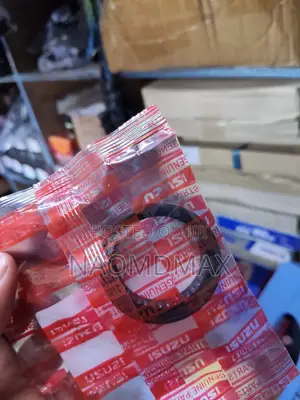 Rear Tailcover Seal
