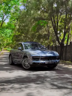 Porsche Cayenne Base AWD 2019 Gray
