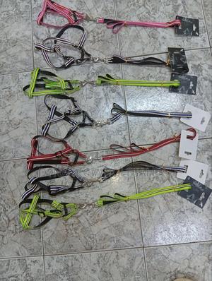 Dog Harnesses and Leashes - thumbnail 2