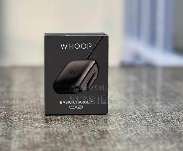 Whoop Basic Charger - main view