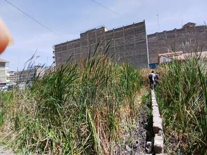 Land for Sale - thumbnail 2