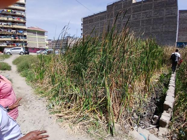 Land for Sale - thumbnail 3