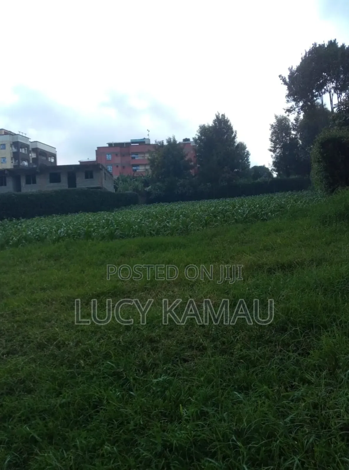 100*100 Plot for Sale