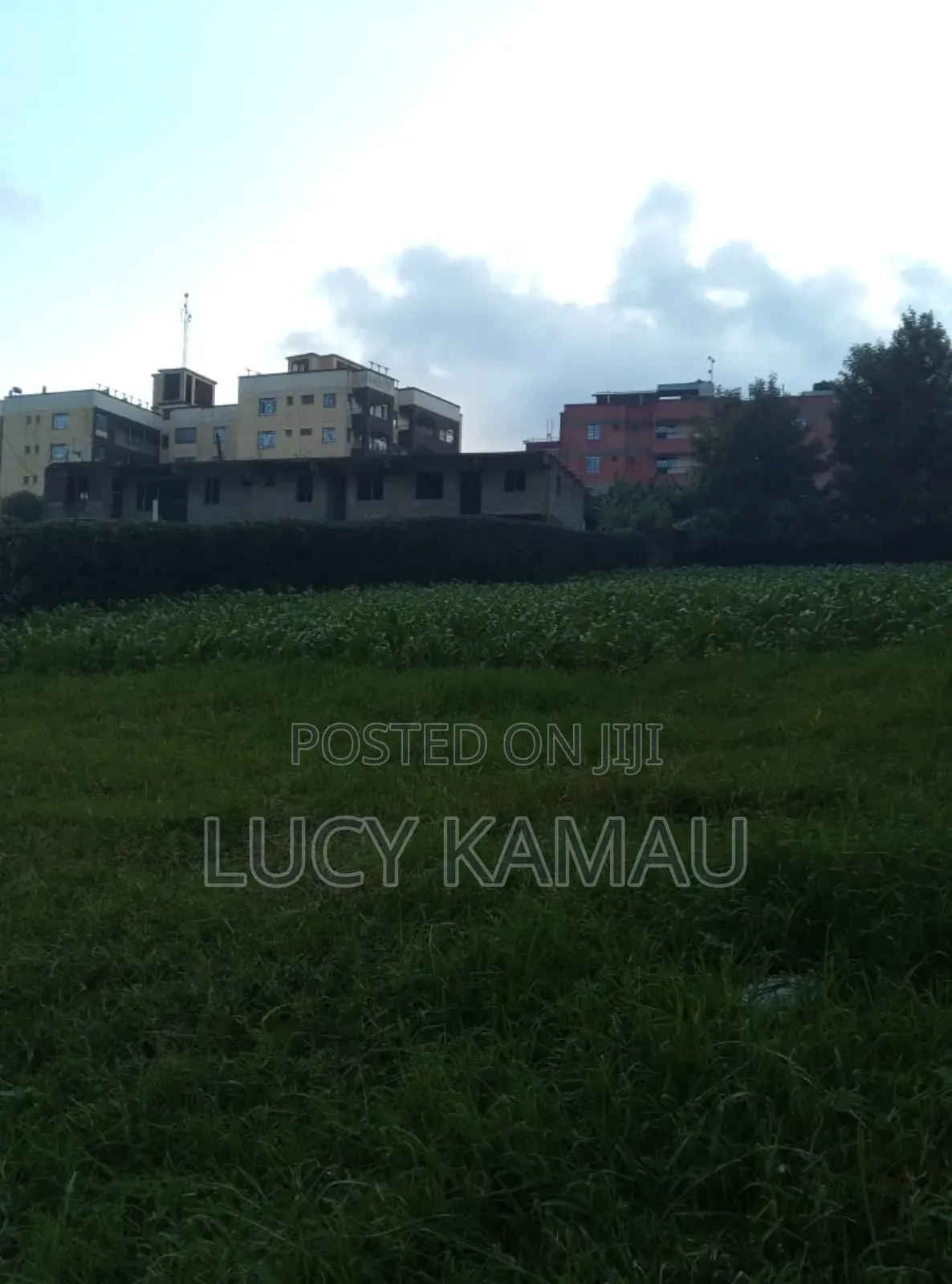 100*100 Plot for Sale